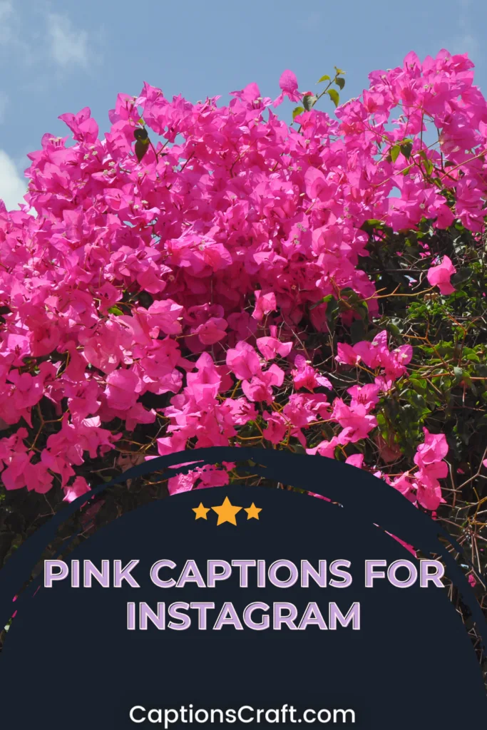 Pink Captions For Instagram
