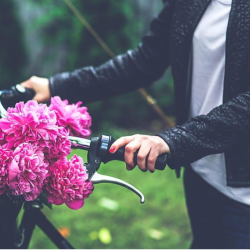 Gravatar for Lily Grace Avatar for Lily Grace