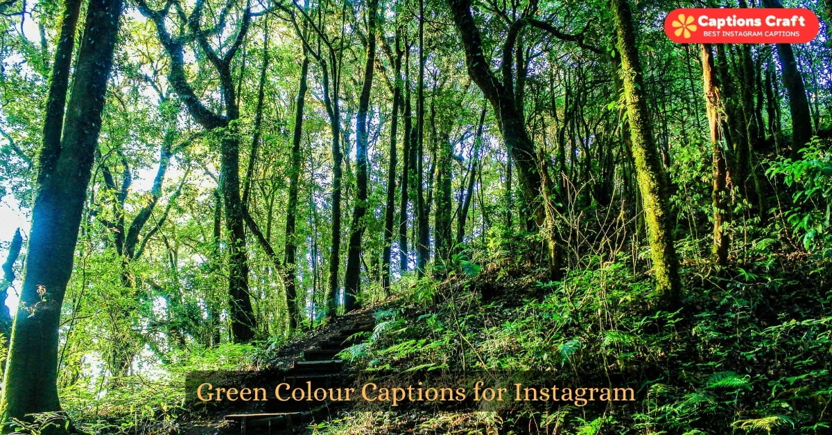 Green color options for Instagram: vibrant shades of green to enhance your Instagram experience.