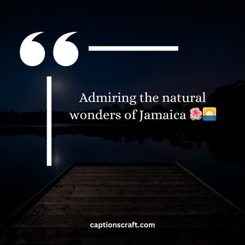 Admiring the natural wonders of Jamaica 🌺🌅