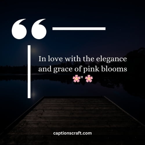 Beautiful pink flower captions for Instagram