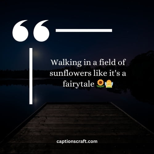 Beautiful sunflower fields for Instagram