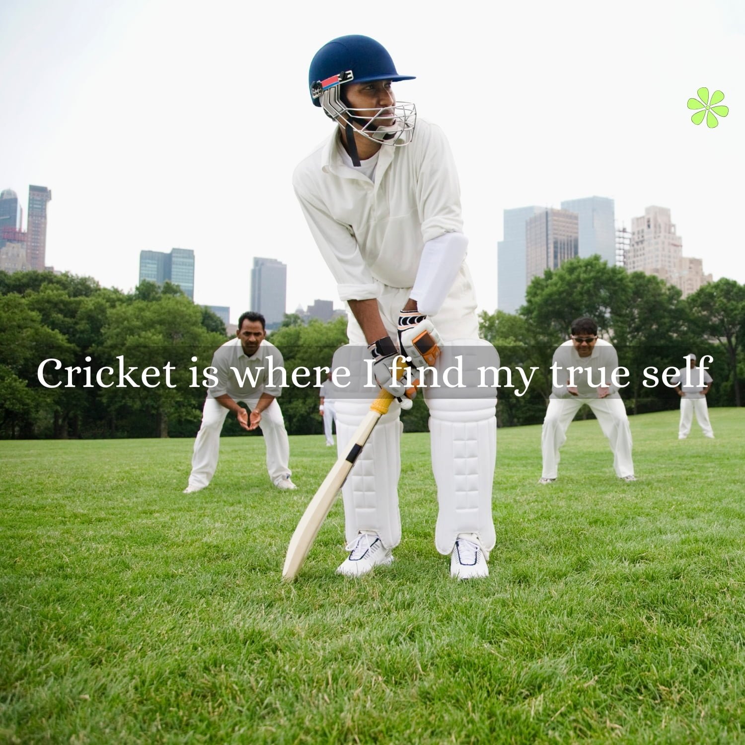 200+ Cricket Captions To Hit Your Instagram For Six!