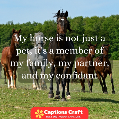200+ Horse Captions For Instagram To Showcase Your Love For These Majestic Creatures 2 Best Hindi captions for horse lovers on Instagram