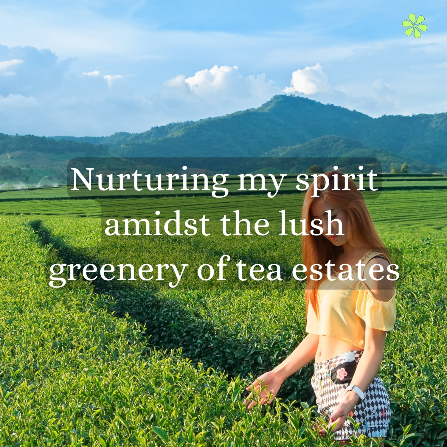 sip-and-snap-200-tranquil-tea-garden-captions-to-brew-up-your