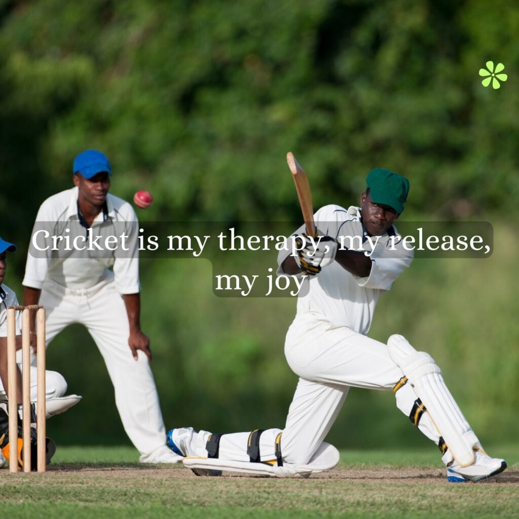 Best cricket captions for Instagram