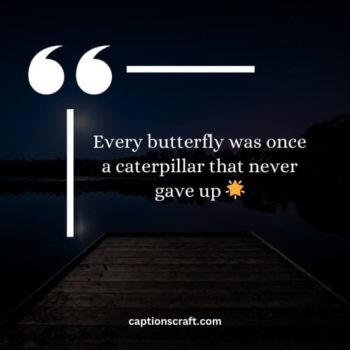 Fluttering Fantasies: 200+ Captivating Butterfly Instagram Captions! 2 Butterfly Captions For Instagram