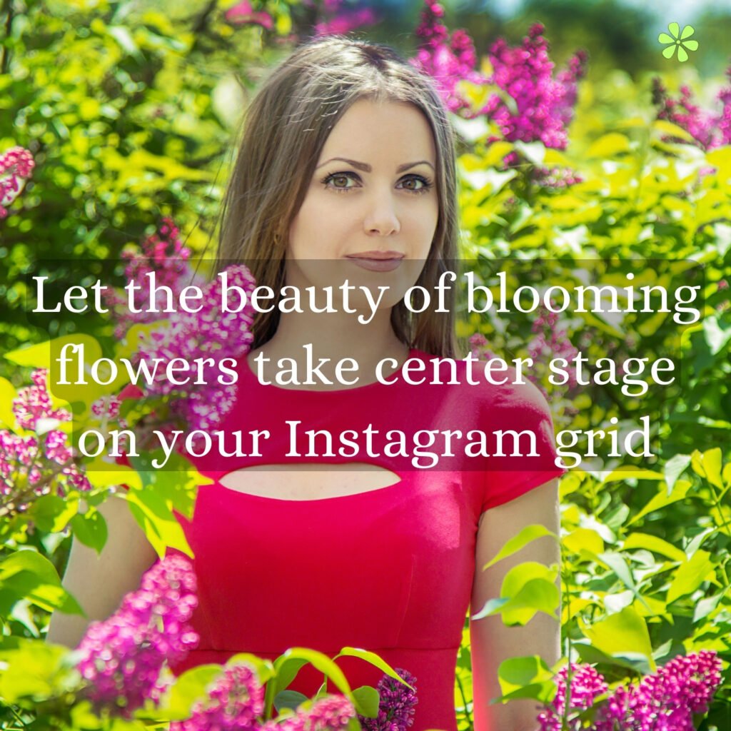Blooming flowers steal the spotlight on your Instagram grid, showcasing nature's beauty.