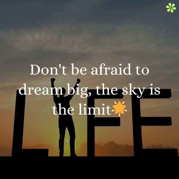 Don't be afraid to dream big, reach for the stars.