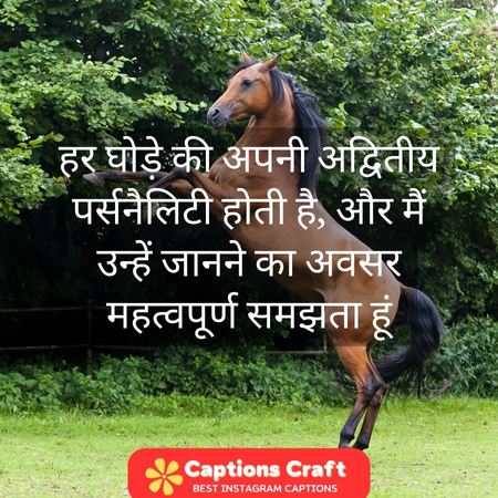 200+ Horse Captions For Instagram To Showcase Your Love For These Majestic Creatures 3 Captivating horse captions in Hindi for Instagram posts