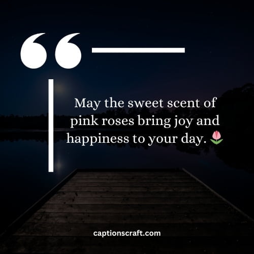 Captivating pink rose quotes for your Instagram feed