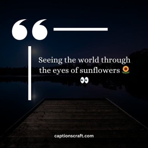 Captivating sunflower photography captions