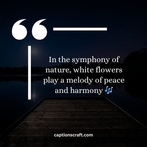 Captivating white flower quotes for Instagram