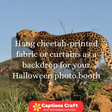 Cheetah-inspired Halloween decorations for your home