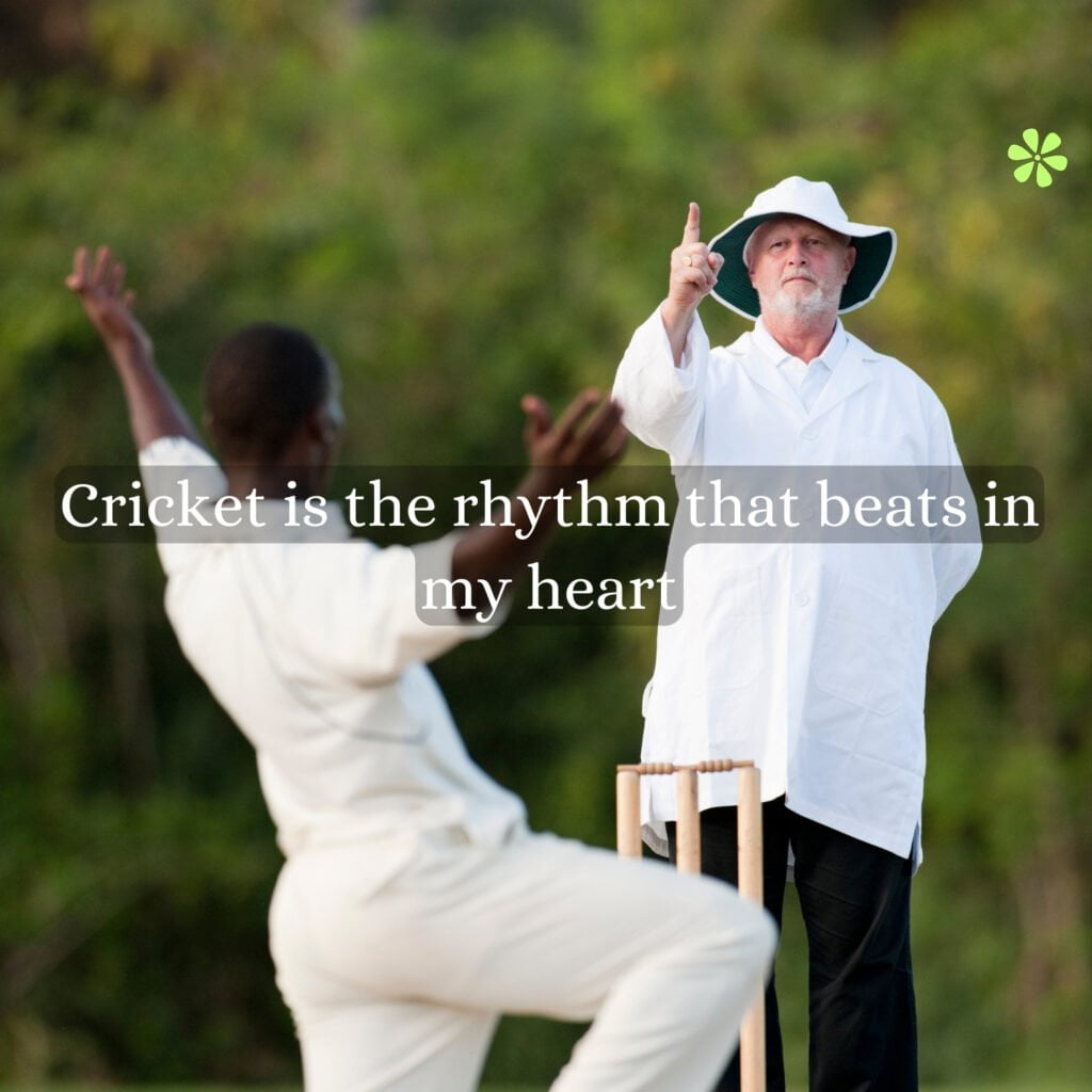 Creative cricket captions to elevate your Instagram game