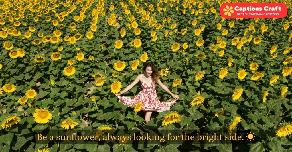 Creative sunflower captions for your Instagram posts