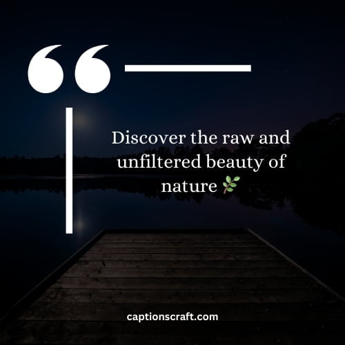 Discover the raw and unfiltered beauty of nature 🌿