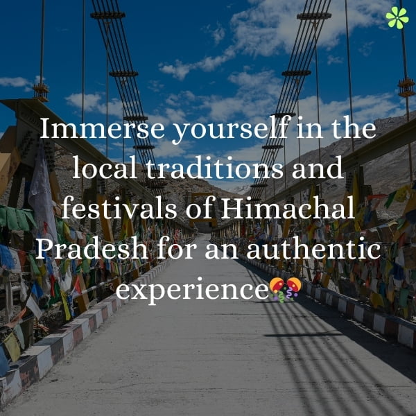 Immerse in Himachal Pradesh's local traditions and festivals. Experience the vibrant cultural heritage.