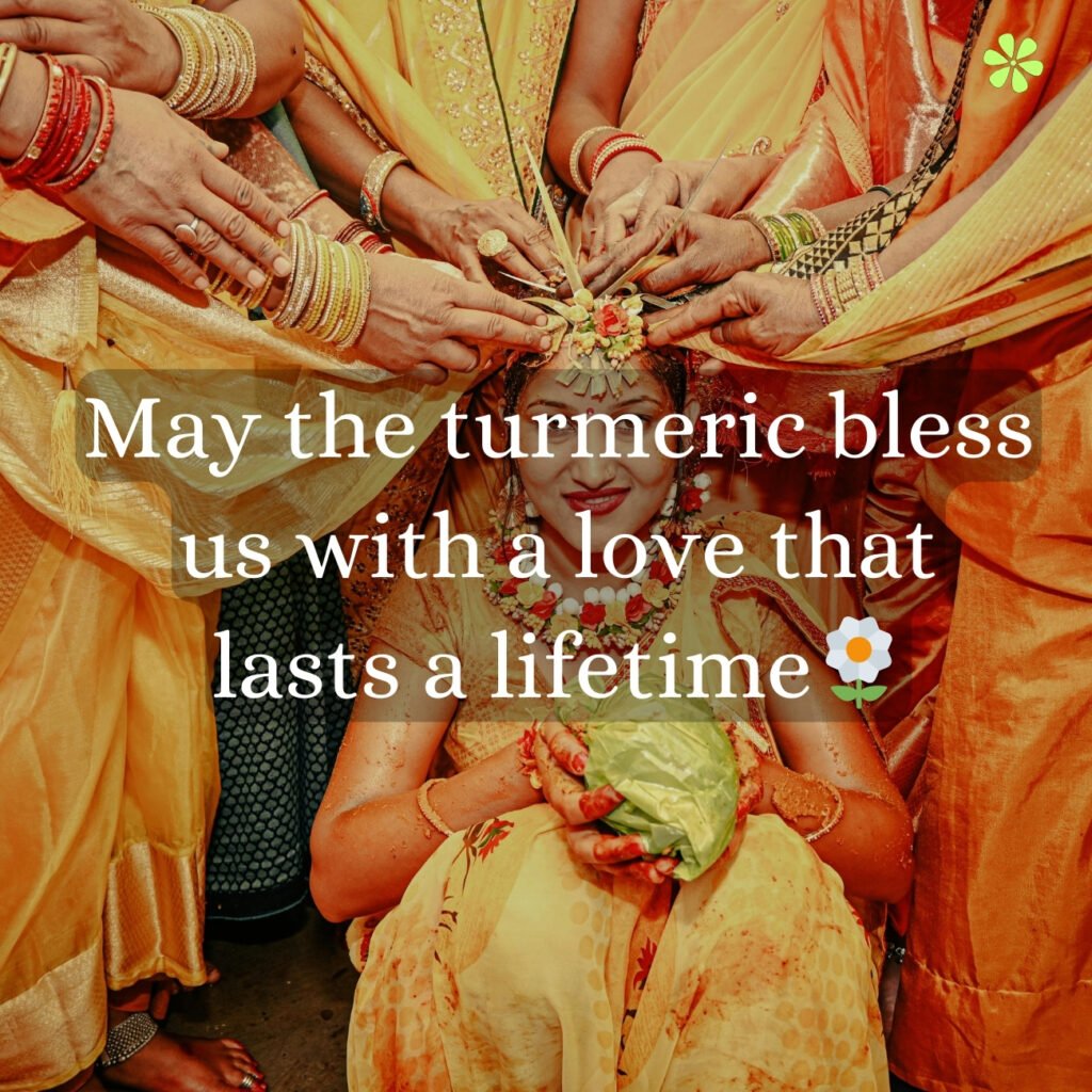 May the golden turmeric bestow an enduring love upon us, enriching our lives for eternity.