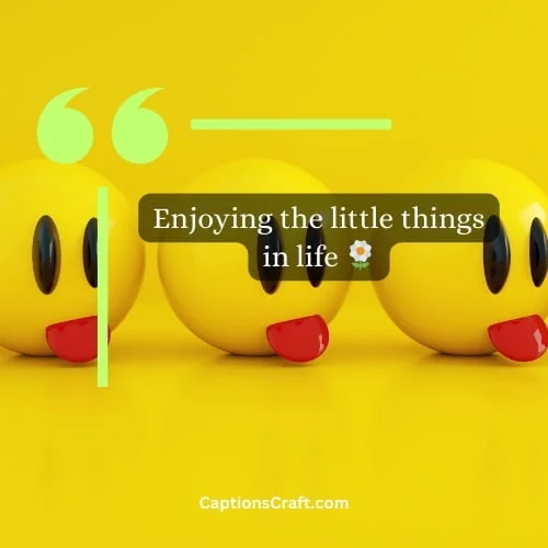 Instagram captions with emojis