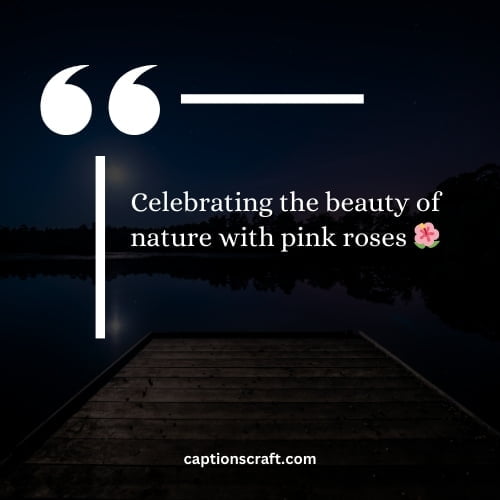 Pink Rose Captions For Instagram