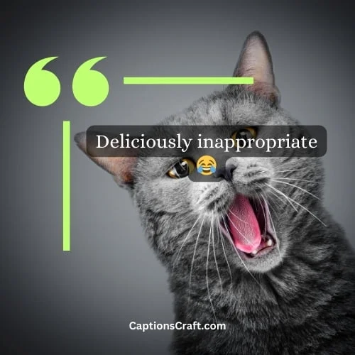 300+ Dark Humor Captions For Instagram With Emoji: The Ultimate Guide to Hilariously Twisted Captions 2 Short Dark Humor Captions For Instagram