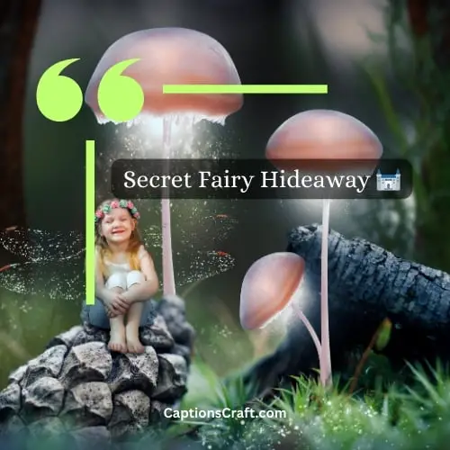 Short Fairy Instagram Captions