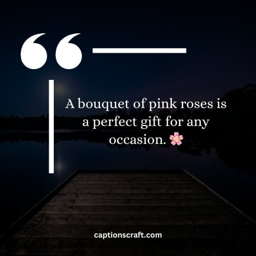 Stunning pink rose captions for Instagram