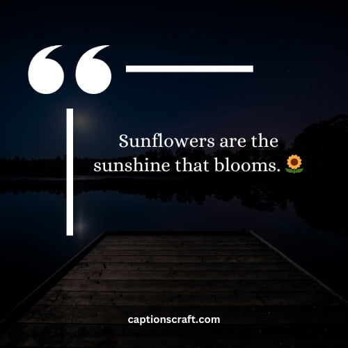 Sunflower quotes for Instagram pictures