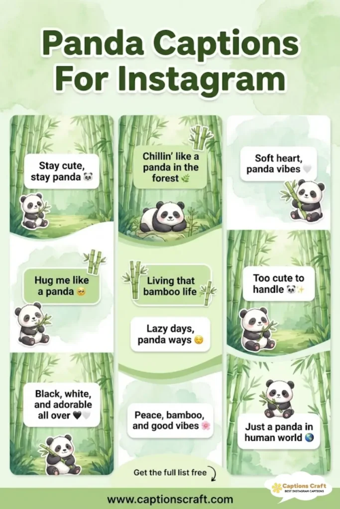 137+ Charming Panda Captions For Instagram and Inspiring Quotes to Share