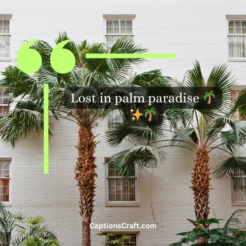 Three Word palm tree instagram captions (Editors Pick)