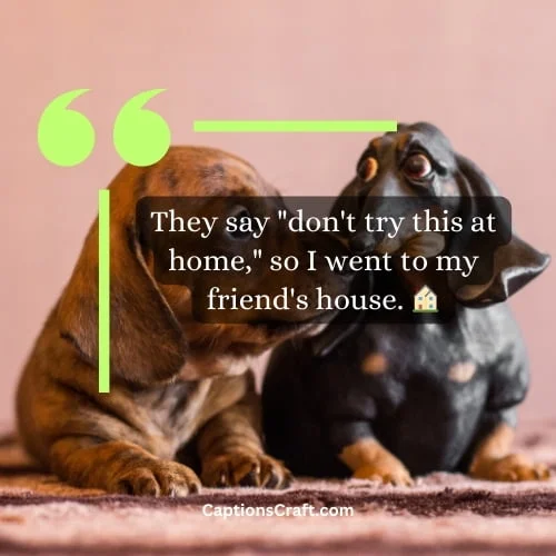 300+ Dark Humor Captions For Instagram With Emoji: The Ultimate Guide to Hilariously Twisted Captions 4 Unique Dark Humor Captions For Instagram