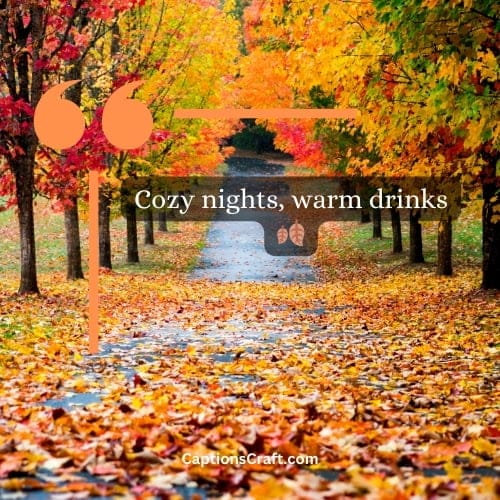 Fall Instagram Captions 300+ Cozy And Creative Ideas For Your Autumn