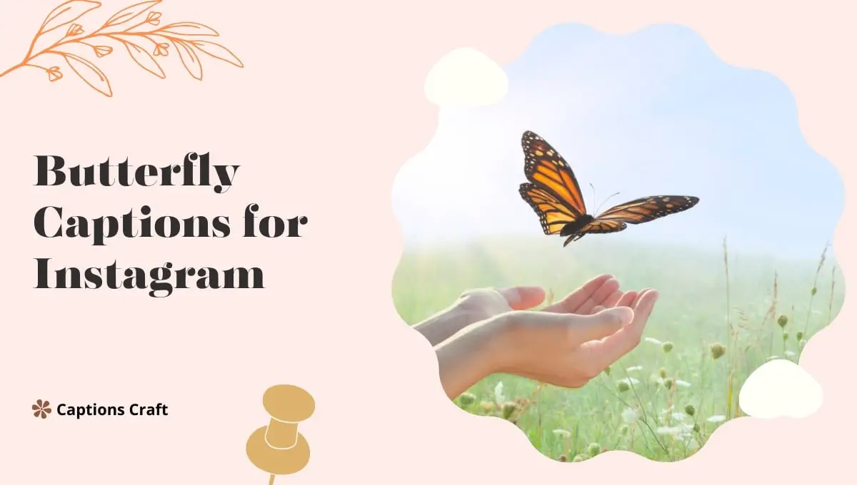 391+ Butterfly Captions for Instagram In 2024