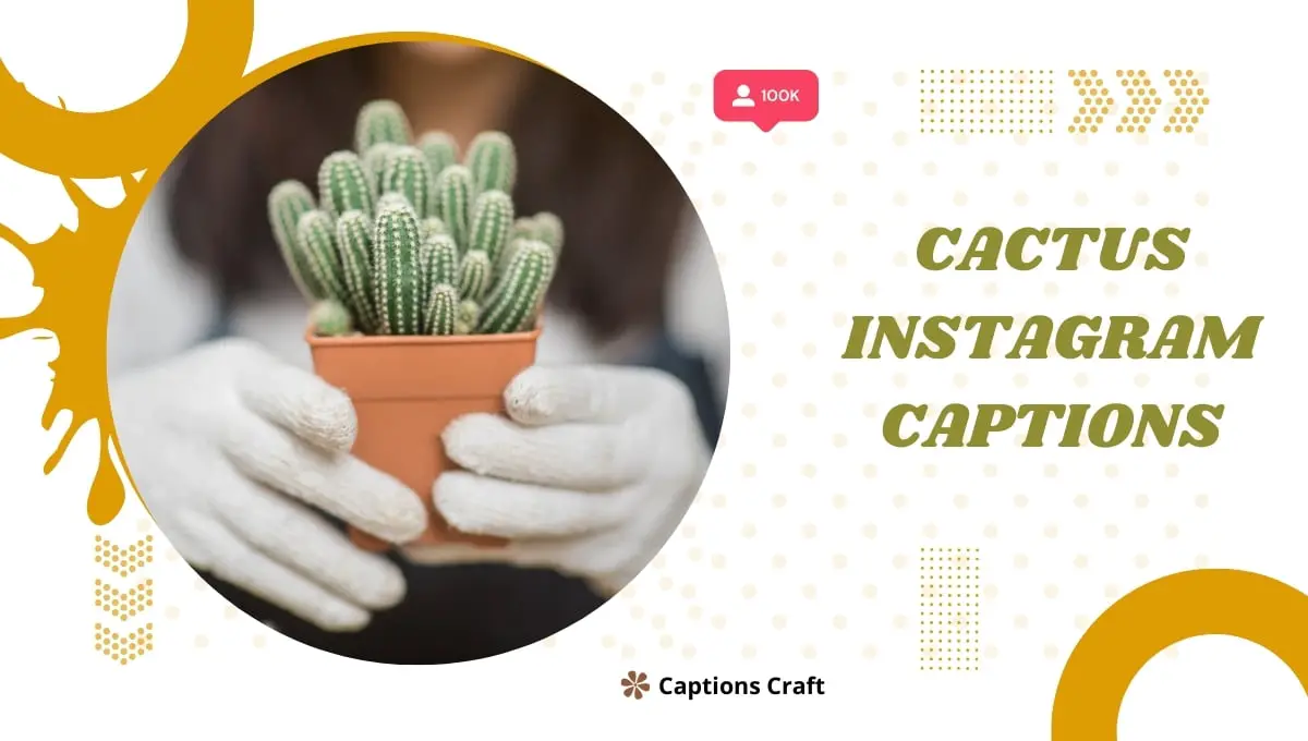 Discover the desert charm with these captivating cactus Instagram captions. Enhance your posts with the perfect desert-inspired caption. #CactusCaptions