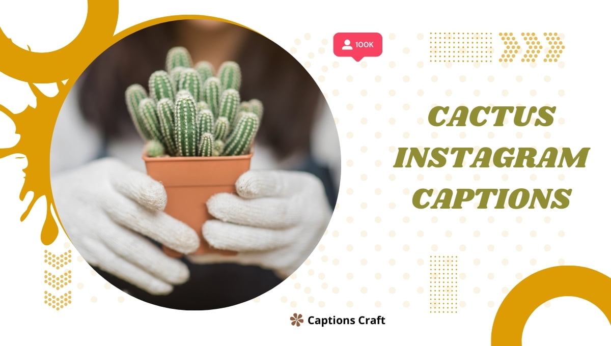 Discover the desert charm with these captivating cactus Instagram captions. Enhance your posts with the perfect desert-inspired caption. #CactusCaptions