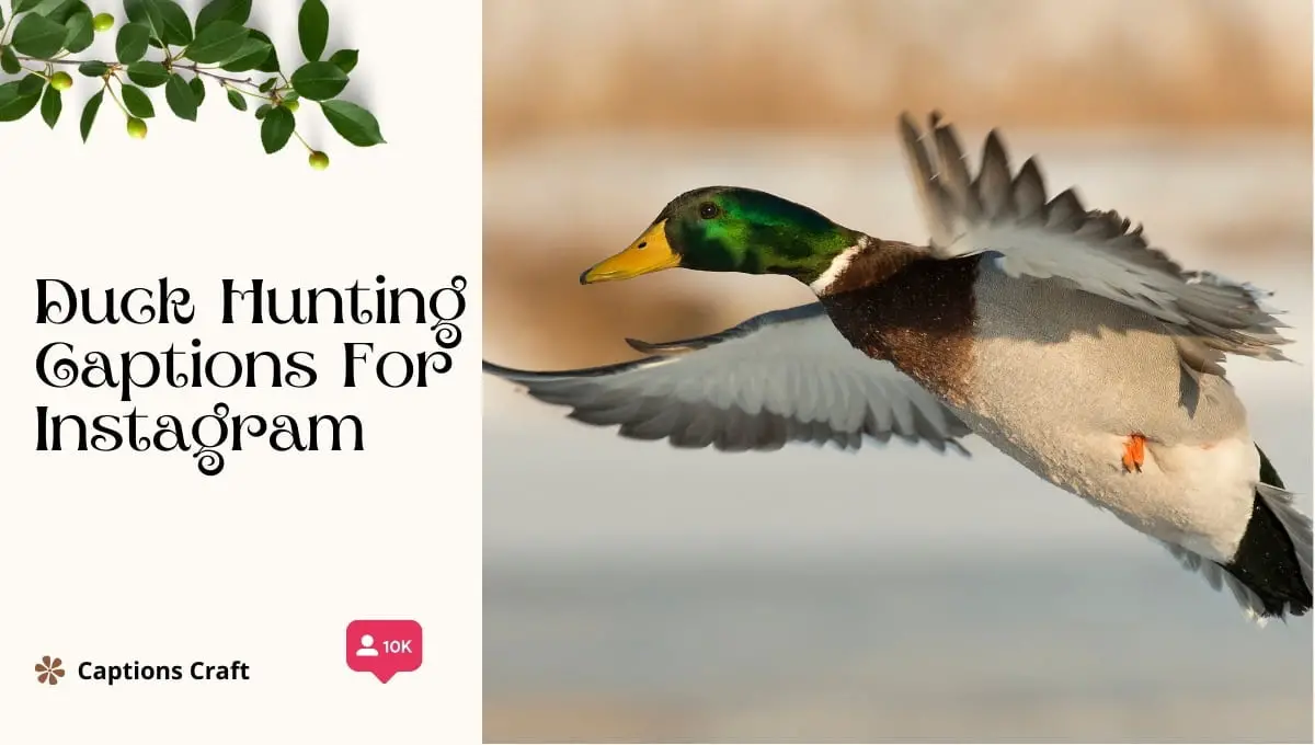 duck hunting captions for instagram