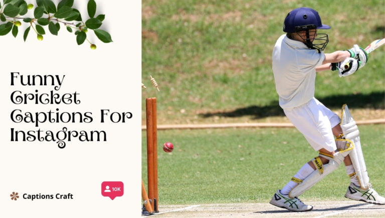 funny cricket captions for instagram