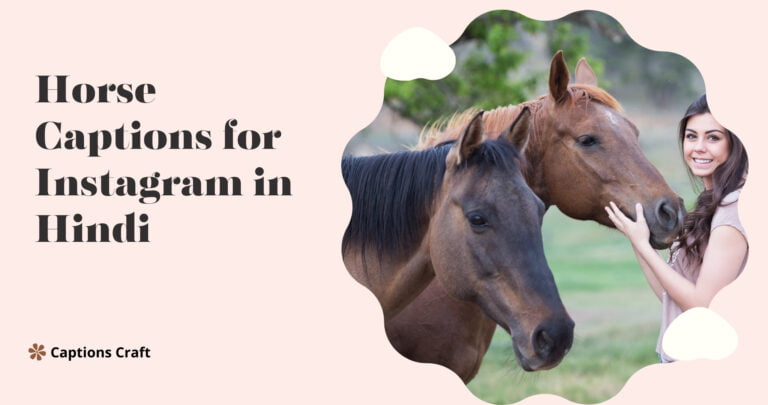 horse captions for instagram in hindi