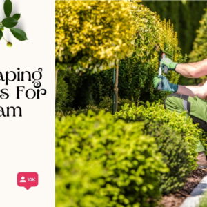 129+ Inspiring Landscaping Captions For Instagram And Quotes to Transform Your Feed