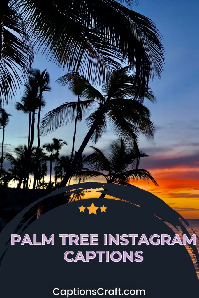 palm tree instagram captions