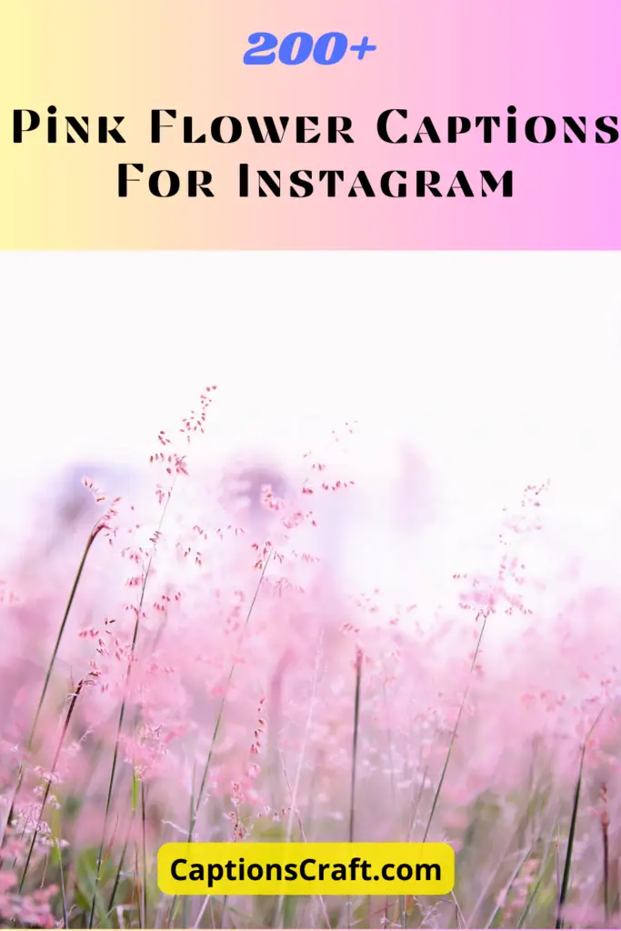 Pink Flower Captions For Instagram