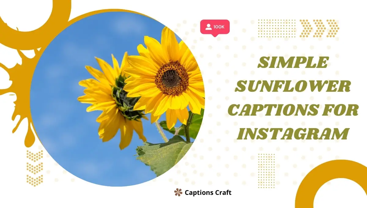 395+ Simple Sunflower Captions for Instagram In 2024 Captions Craft