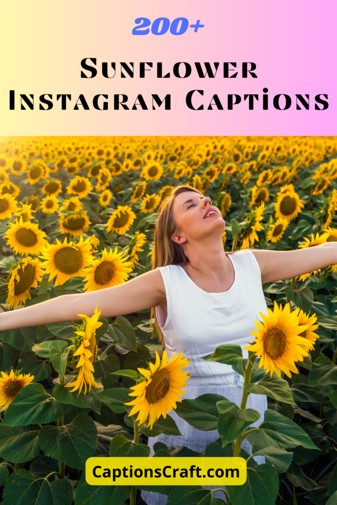 Sunflower Captions for Instagram