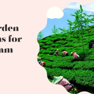 200+ Tea Garden Captions for Instagram with Friends to Sip and Smile
