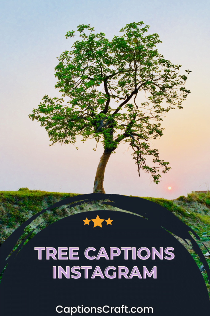 Tree Captions Instagram