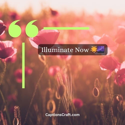 300+ Shine Captions for Instagram: Sparkle and Glow with These Captivating Quotes 4 two Word Shine Captions for Instagram