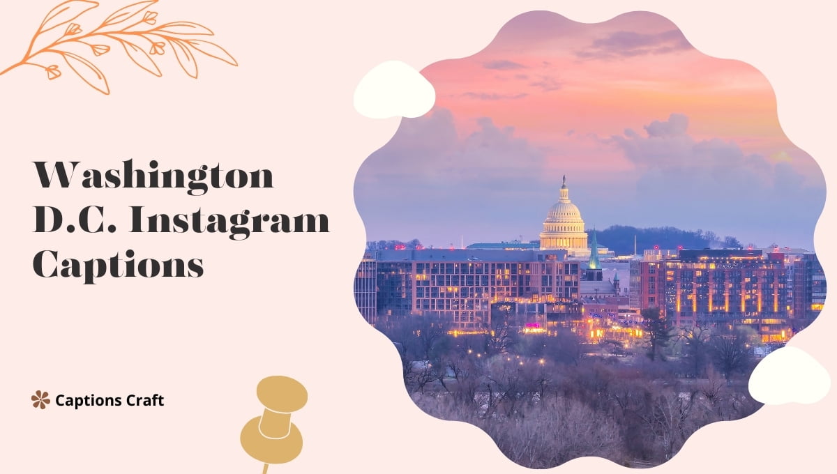250+ Washington D.C. Instagram Captions Explore the Capital's Stunning