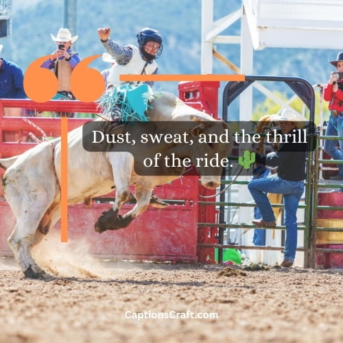 Best Bull Riding Captions For Instagram (Writers Choice)
