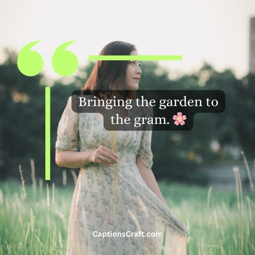 200+ Floral Dress Captions For Instagram To Bloom With Style And Grace 3 Best Floral Dress Captions For Instagram